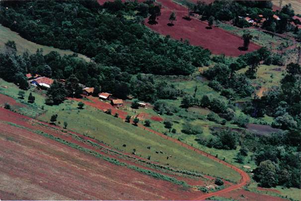 126-3- fazenda em Manborê PR 15-out-1995